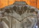 Women's Floral Extra Fine Pinpoint Embroidery Vintage Western Shirt 7809 by Rockmount Ranch Wear