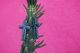 New Starburst Cross Earrings J-4007-Patina