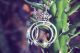 New Naja Style Earrings J-4014