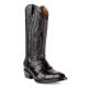 Stallion Handcrafted Alligator Belly Exotic Cowboy Boots | Ferrini Boots