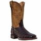 Dan Post for Men Cowboy Certified Denver Genuine Chocolate Caiman Boots - DP2806
