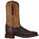 Dan Post for Men Cowboy Certified Denver Genuine Chocolate Caiman Boots - DP2806