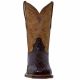 Dan Post for Men Cowboy Certified Denver Genuine Chocolate Caiman Boots - DP2806